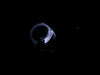 Photo - Unmounted
