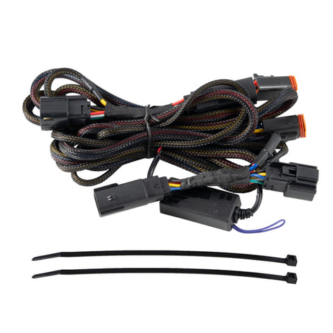 Diode Dynamics 23-26 GMC Canyon Stage Series Reverse Light Wiring Harness Kit C1R
