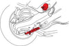 Line Art