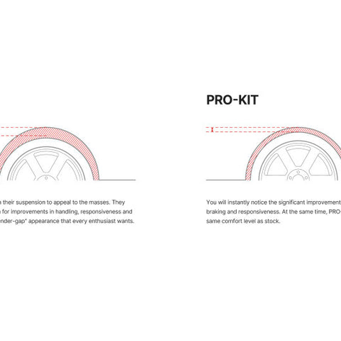 Eibach Pro-Kit EV for 24-25 Tesla Model Y RWD