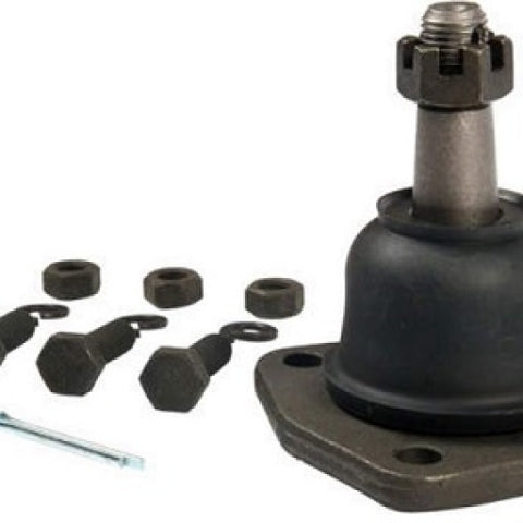 Photo - Primary