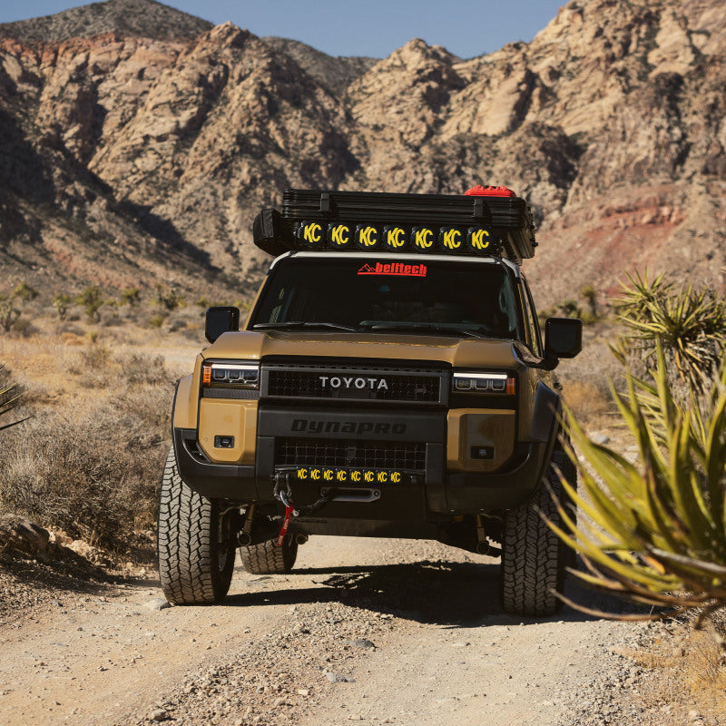 Photo - lifestyle view